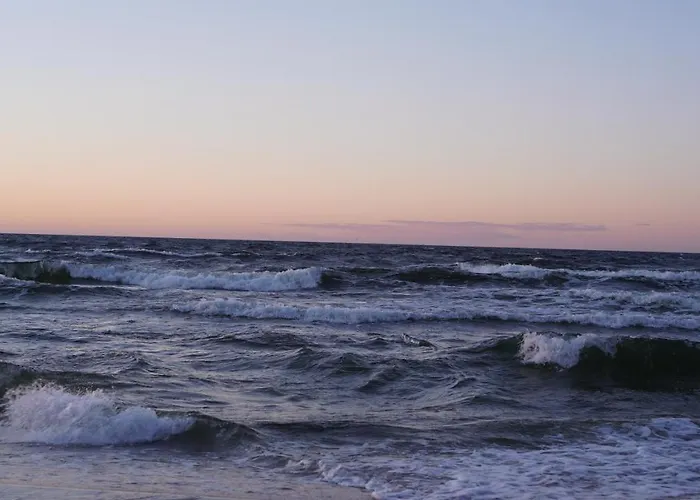 Wind Rose Kolobrzeg